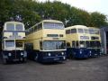 Birmingham & Midland Motor Omnibus Trust